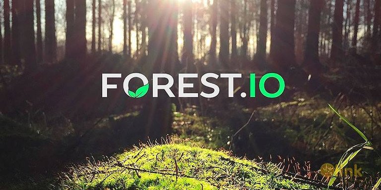 1344_ico-forest-foundation_thb.jpg