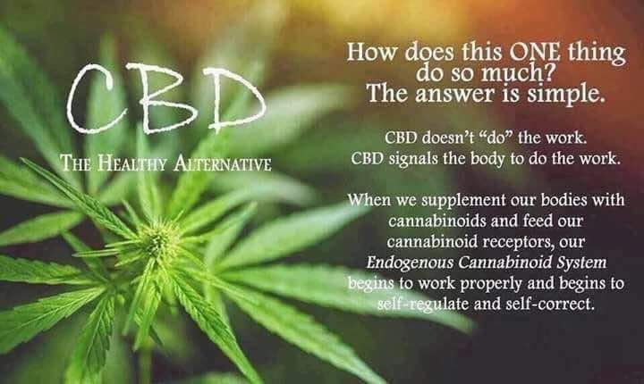 cbd1.jpg