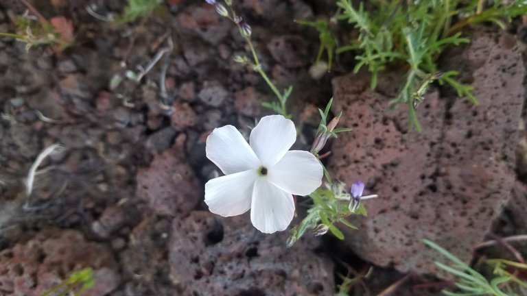 20190327_190316.jpg