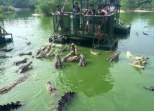 Serunya-Mancing-Buaya.jpg