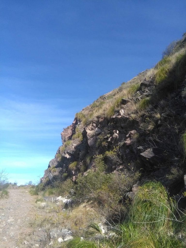 como tocando el cielo.jpg