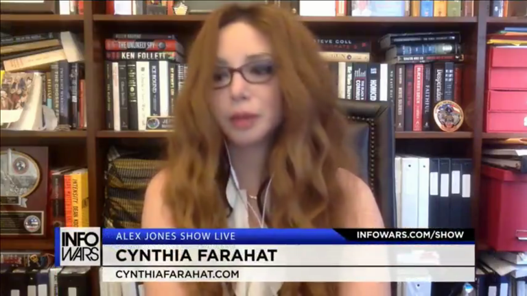 Cynthia Screenshot at 2018-10-19 12:11:38.png