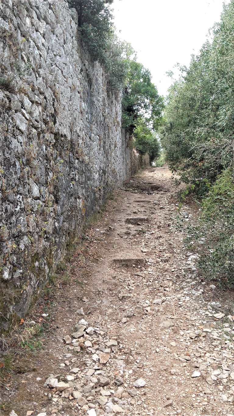 20170928_142839.jpg