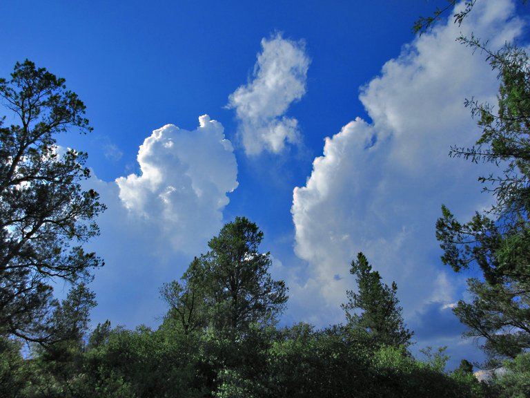 cumulous 7x9.jpg