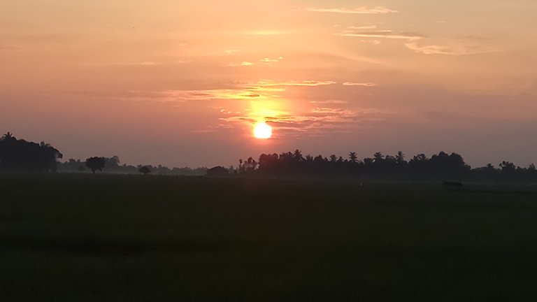IMG_20190906_063605.jpg