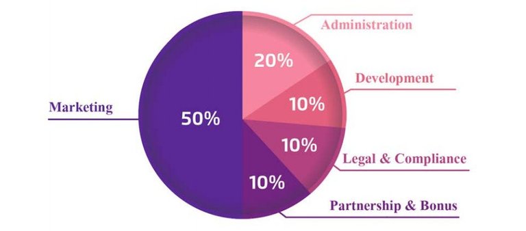 bitcoinbing fund allocation.jpg