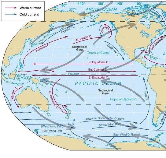 ocean-currents-cold-currents-warm-currents.jpg