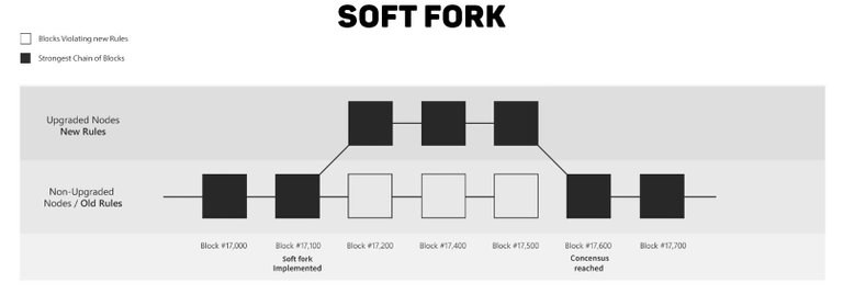 softfork.jpg