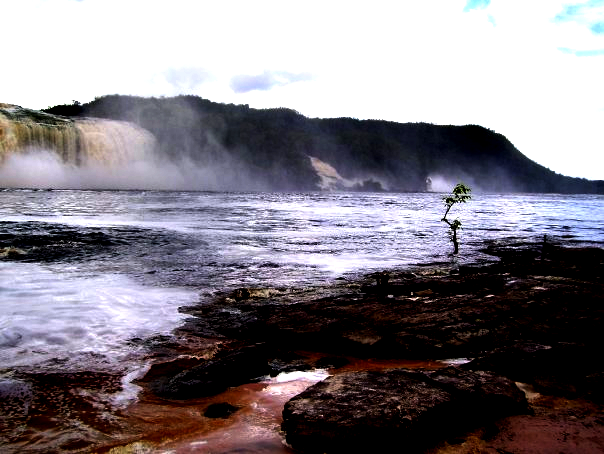 canaima.jpg