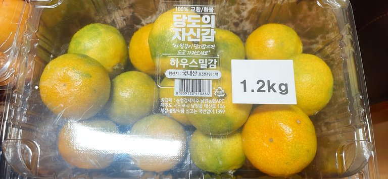 KakaoTalk_20250620_191900525.jpg