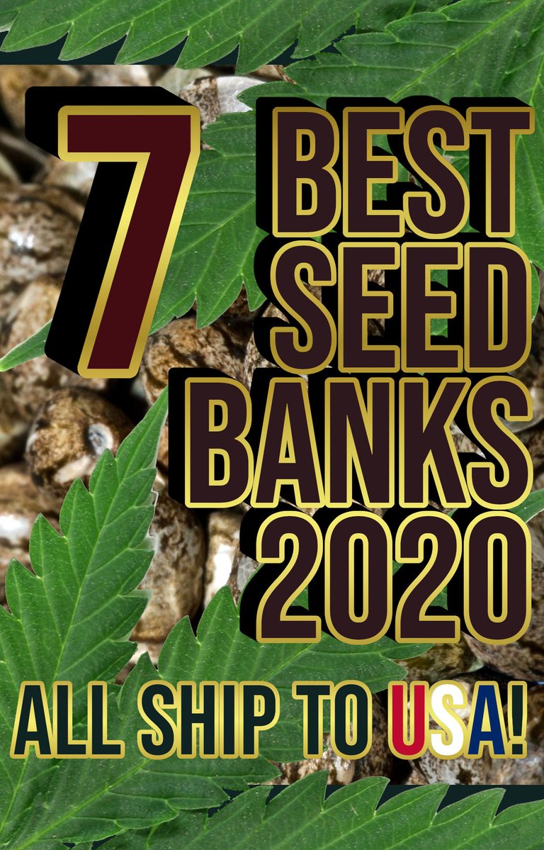 top-7-best-marijuana-seed-banks-2020-high.jpg