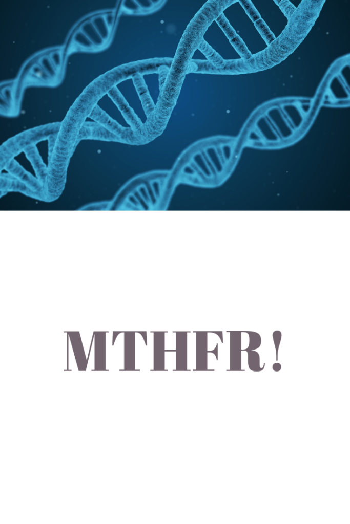 mthfr-683x1024.png