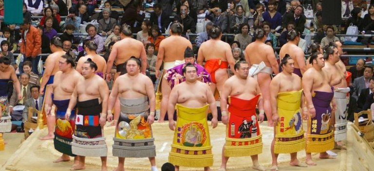 opening-sumo-840x385.jpg