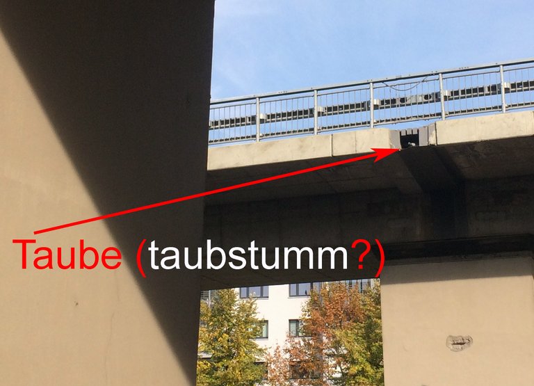 taube taubstumm.jpg