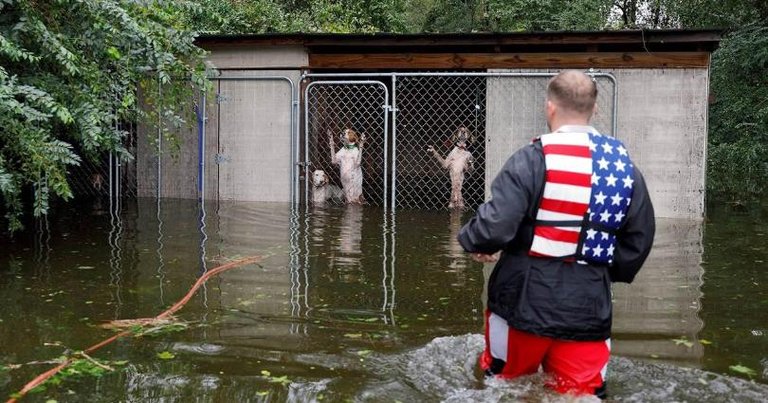 Dogs+rescued+from+florence.jpg