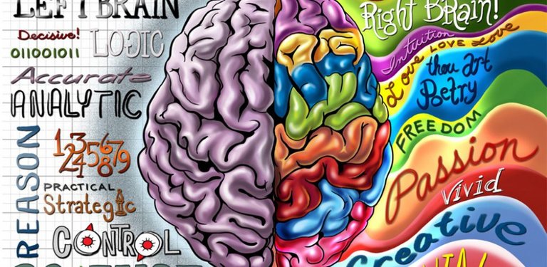 cerebro_neuromarketing-1024x500.jpg