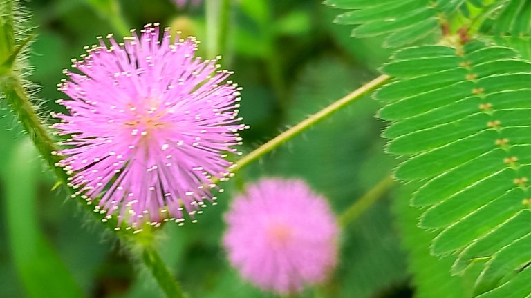 20250731_112851.jpg