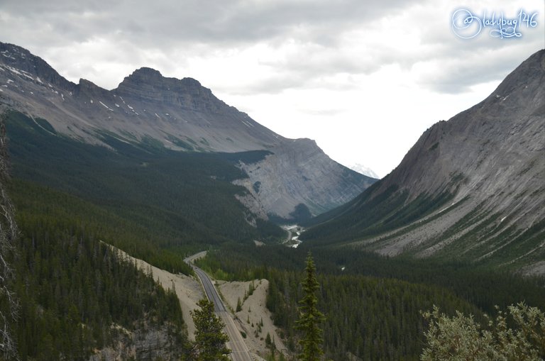 icefield parkway.jpg