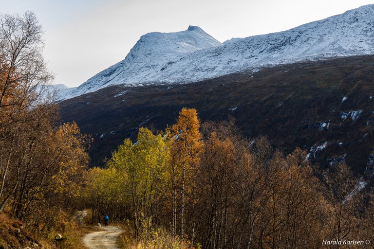 Rødtinden.jpg