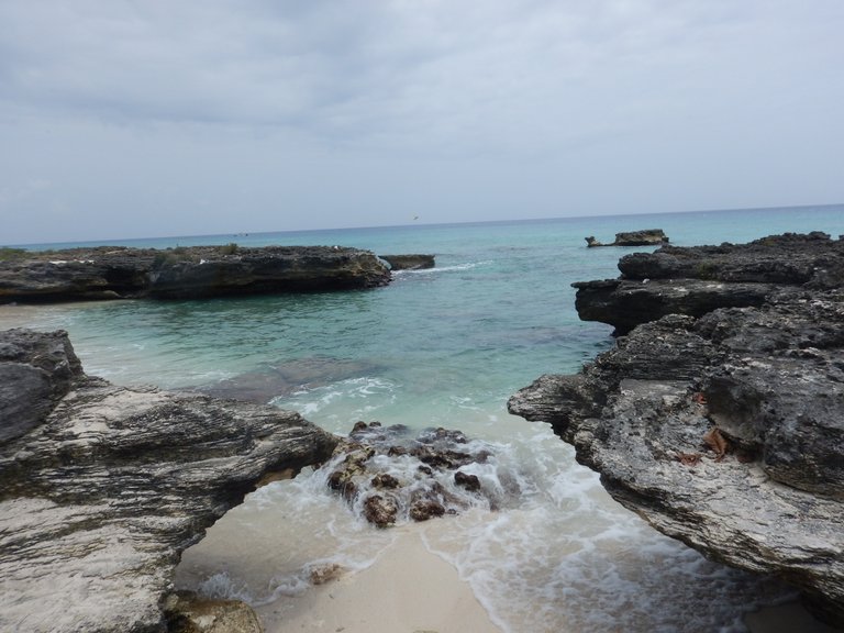 DSCN0931.JPG