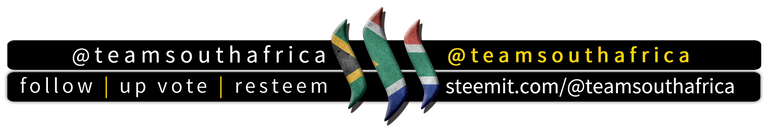 @teamsouthafrica Banner.png