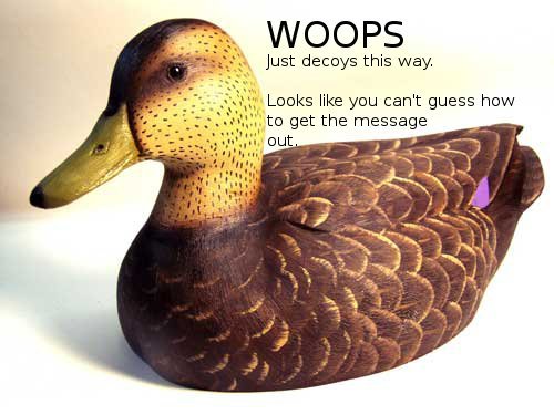 Duck.jpg