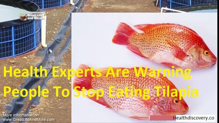 Health Experts Are Warning People To Stop Eating Tilapia.png