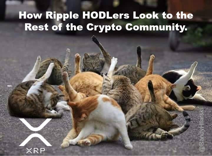 randy-hilarski-xrp-ripple-hodlers-cats.jpg