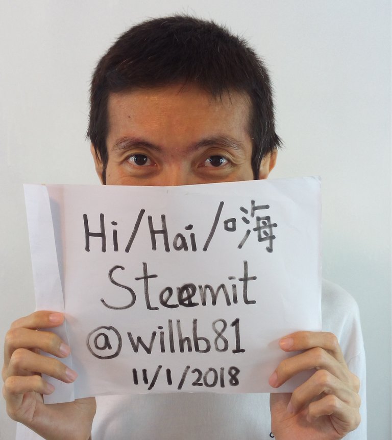 Wilhb81 Steemit Self Intro.jpg
