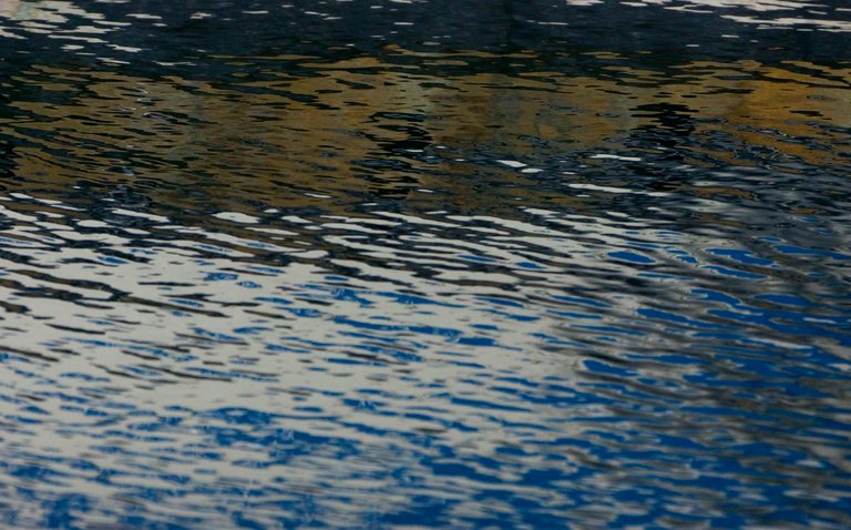 _DSC1526.JPG