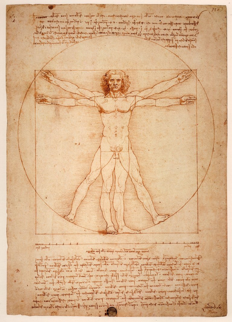 leonardo-da-vinci-1125056_1920.jpg