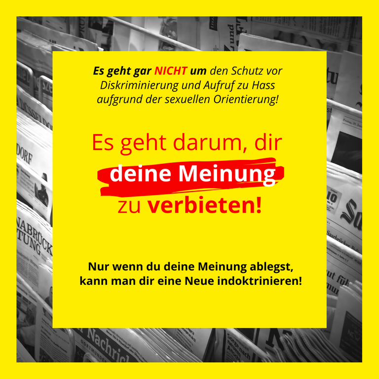 Darum-geht-es-MEINUNG.png