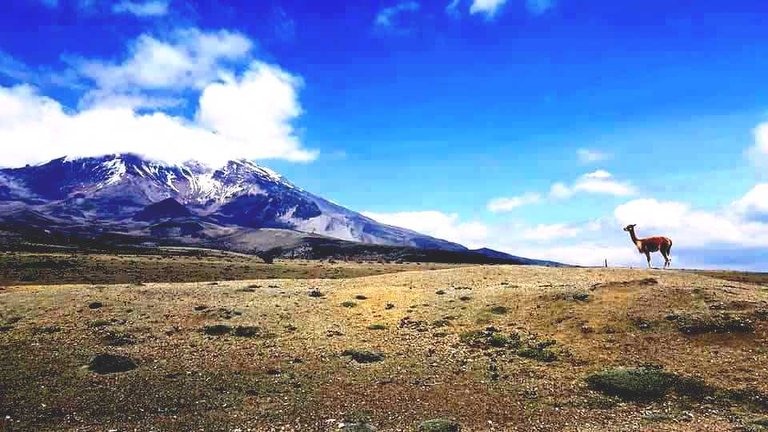 Chimborazo.jpg