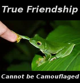 friendfrog.jpeg