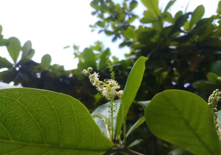 20201003_193550.jpg