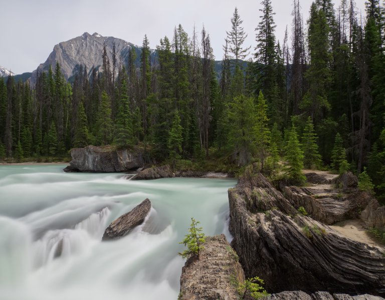 jessicaoutside.com-20170607-125044-natural-bridge-yoho-national-park-bc-1680.jpg