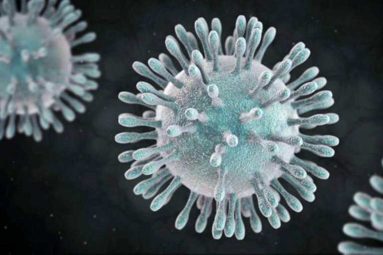 xcoronavirus_motos_1.jpg,qitok=wziBjf4x.pagespeed.ic.BI_FEMJXlc.jpg