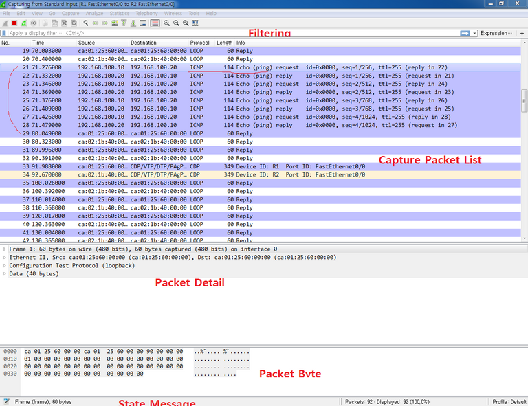 wireshark.png