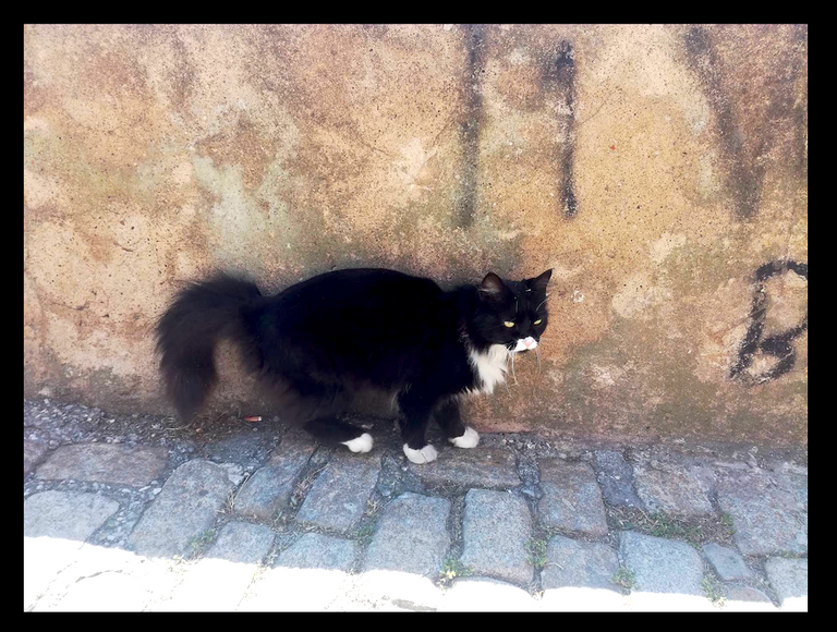 Bildschirmfoto 2018-07-01 um 14.45.14.png