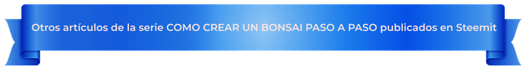 banner-otros-artículos-que-te-podrian-interesar-(BONSAI).png