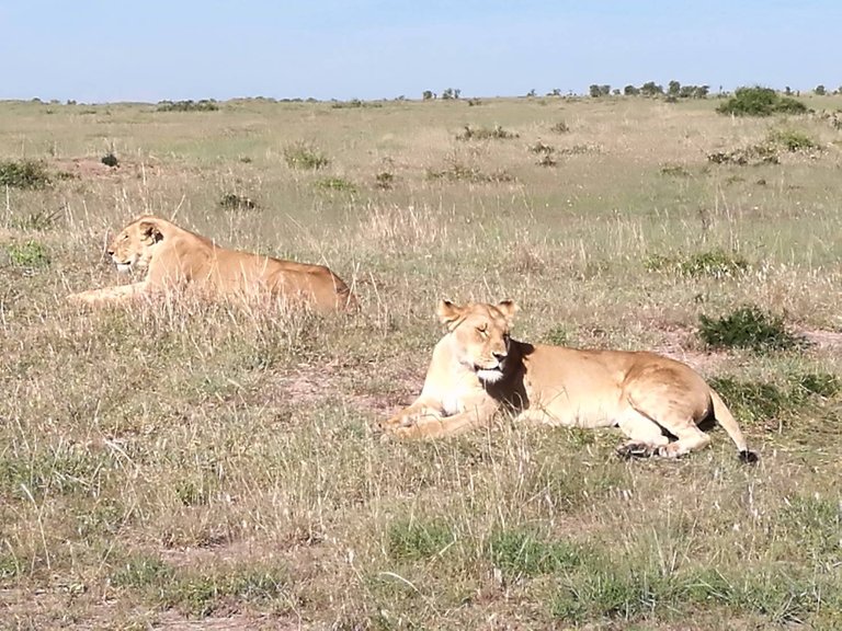 Maasai National Reserve32.jpg