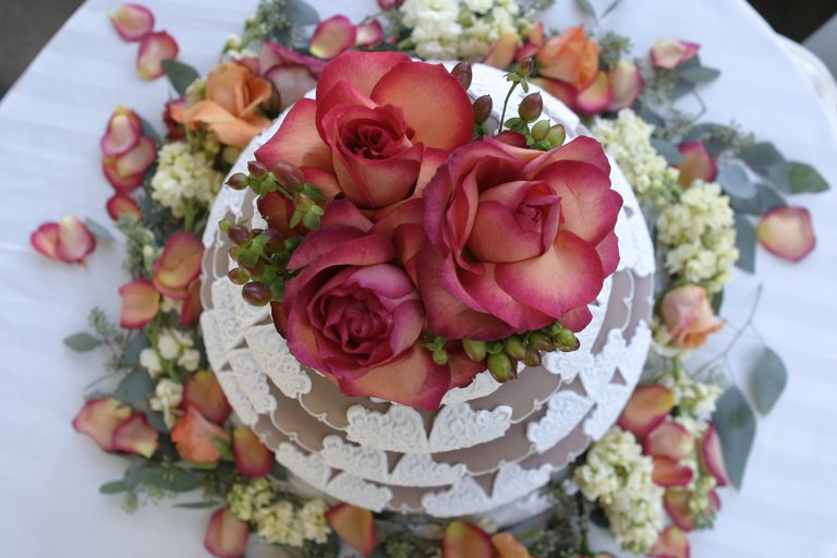 bloom-blossom-cake-784210.jpg