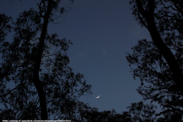 New Moon-001-011917.jpg