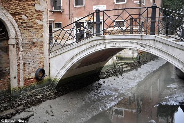 venice3.jpg