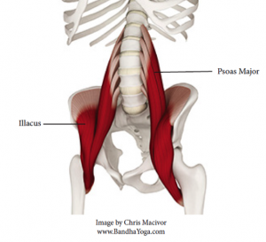 Yoga-for-the-psoas-1-300x273.png