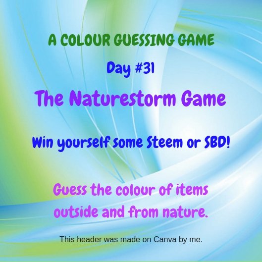 Naturestorm Day #31.jpg