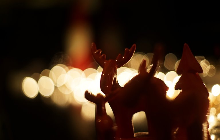 Christmas lights moose 2.jpg