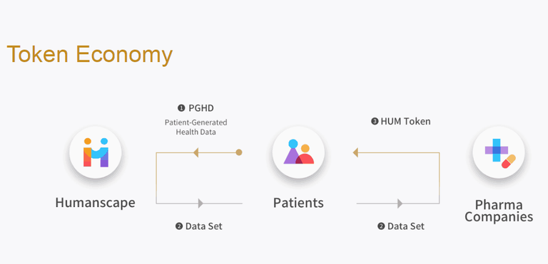 Humanscape-Token-Economy.png