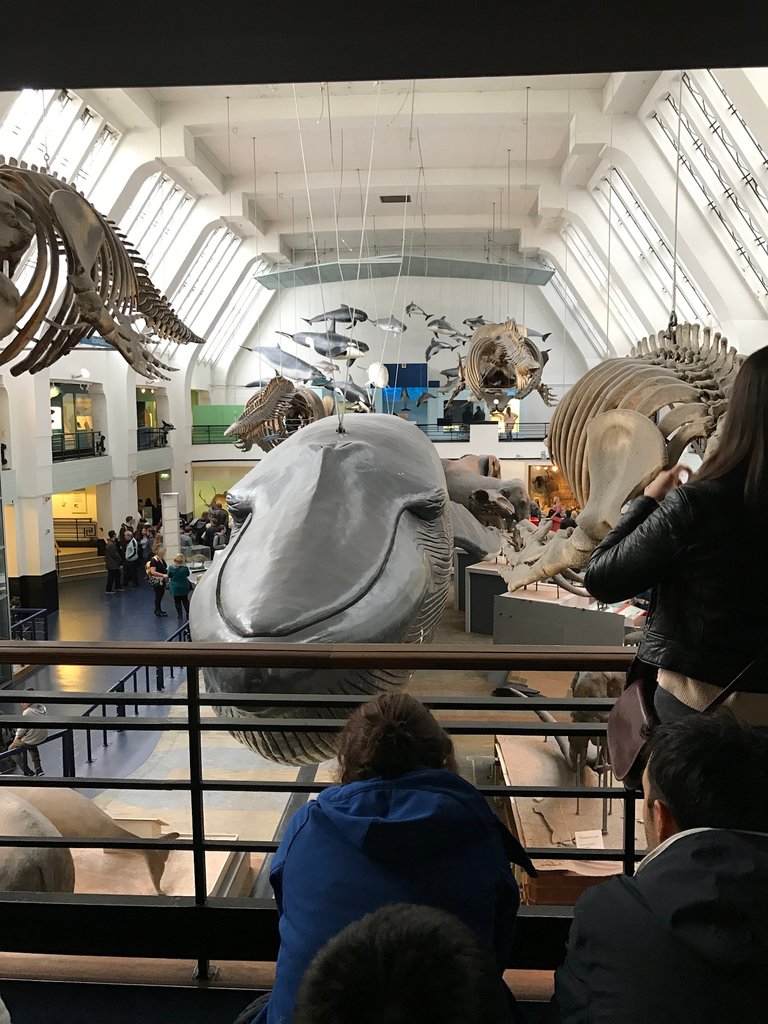 0AD58529-77C9-4865-AA5C-22E3222A8229.jpeg