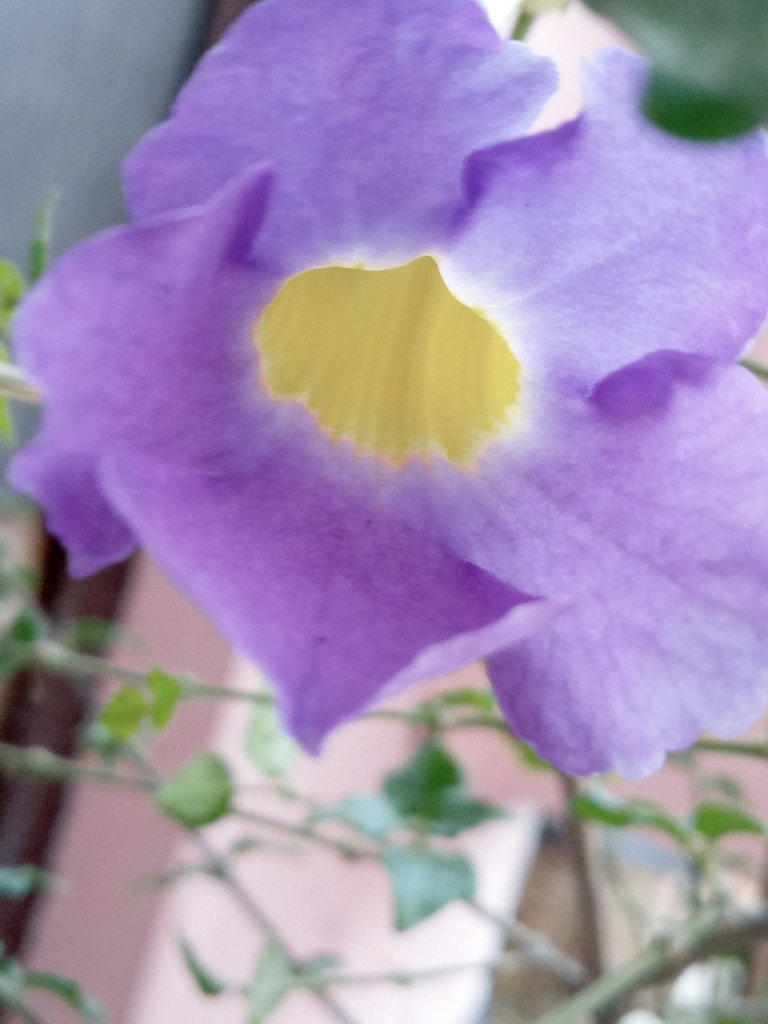 20220220_174029.jpg